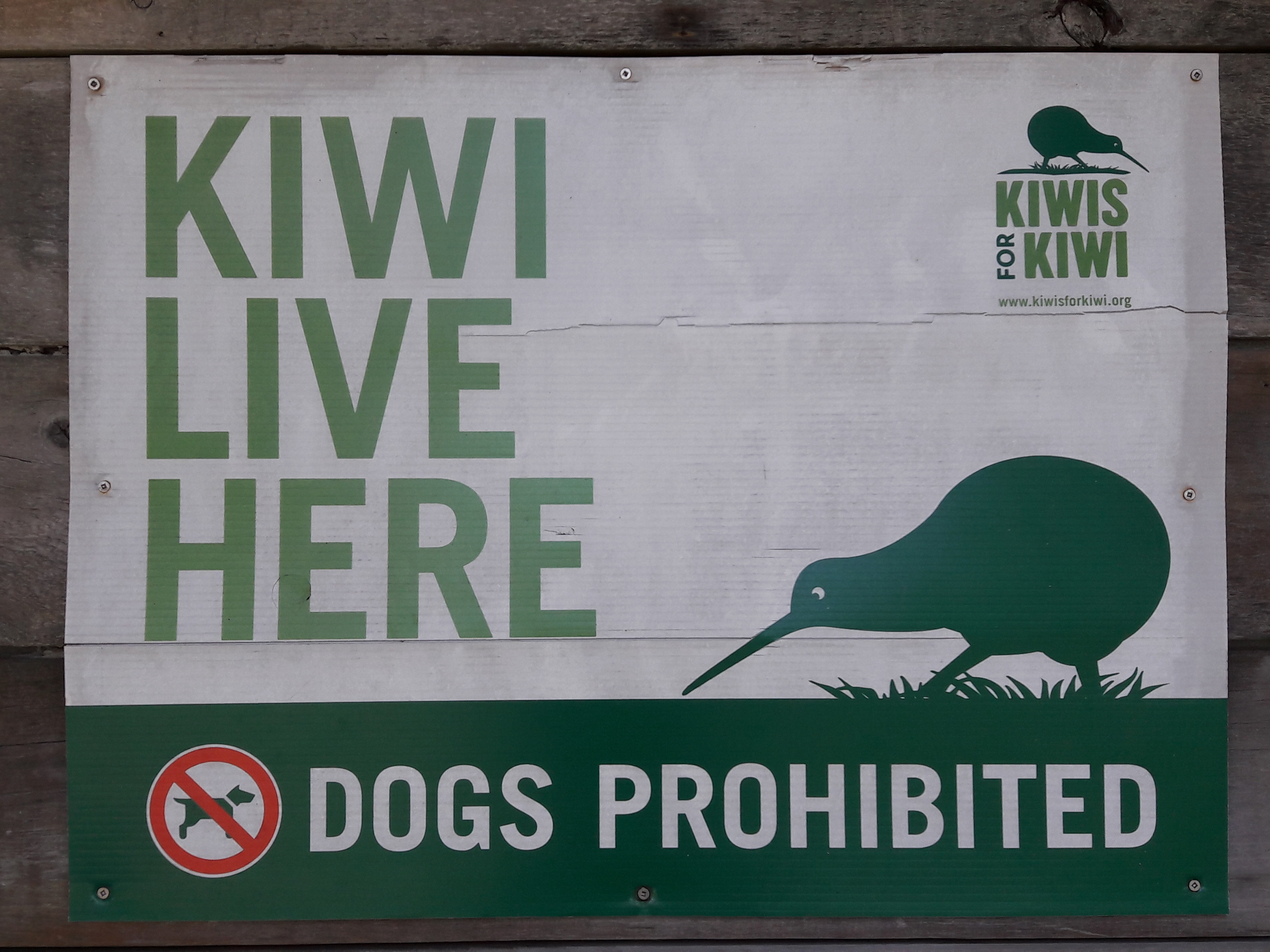Kiwi Lives Here