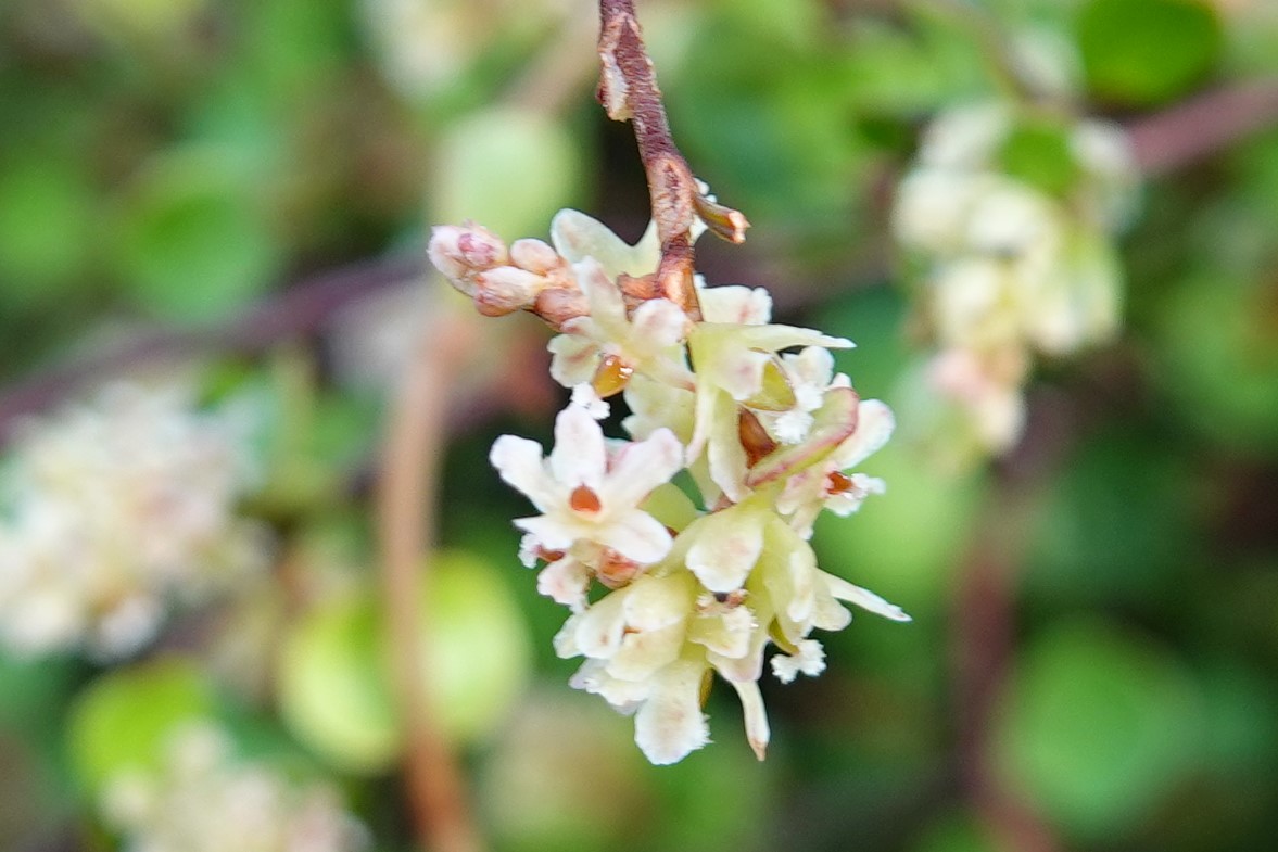 March 2024 Newsletter