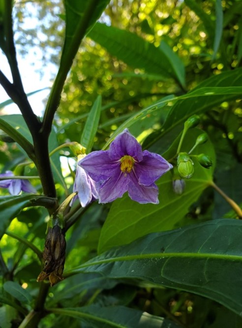 November 2024 Newsletter